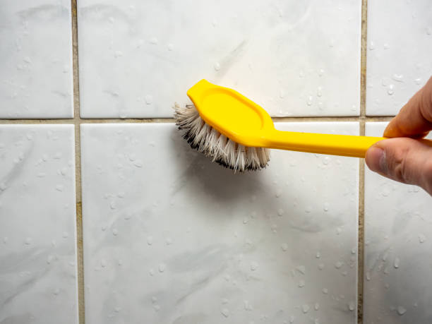 Best Home Mold Removal  in North Lindenhurst, NY