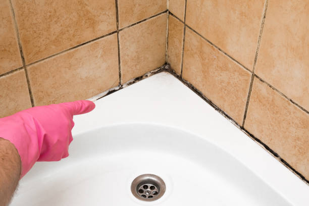 Best Commercial Mold Removal  in North Lindenhurst, NY